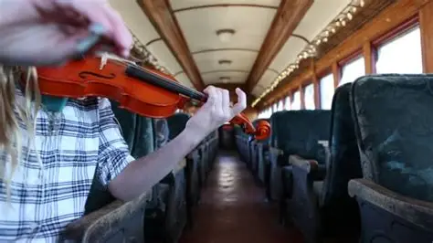 जुगाडू(?) वॉयलीन वादकाची समाधी – लोकल ट्रेनमधला माझा अनुभव